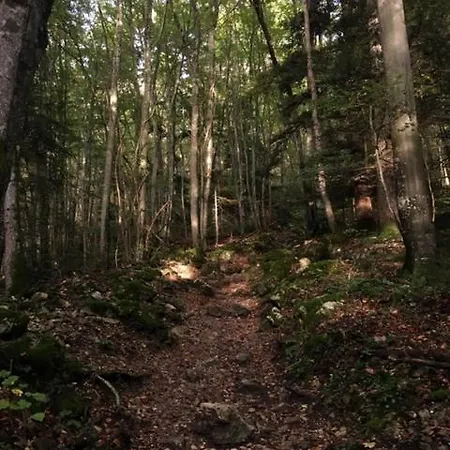 Bellevue De Lägenhet *